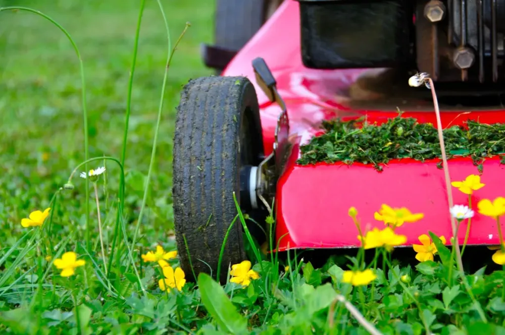 Micro-tracteur à Louvigné